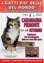 I gatti piu' belli del mondo - esposizione internazionale felina